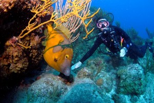 Lynn Griffiths with a White Spotted Filefish
