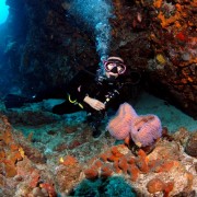 Azure Sponge Diving in the British Virgin Islands