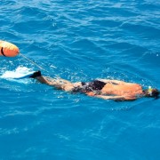 Snorkeling off Pacific Wave in the Caribbean Snorkeling off Pacific Wave in the Caribbean