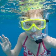Snorkeling from a Caribbean yacht charter