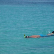 Snorkeling in the BVI