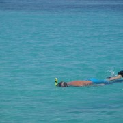 Snorkeling in the BVI Snorkeling in the BVI