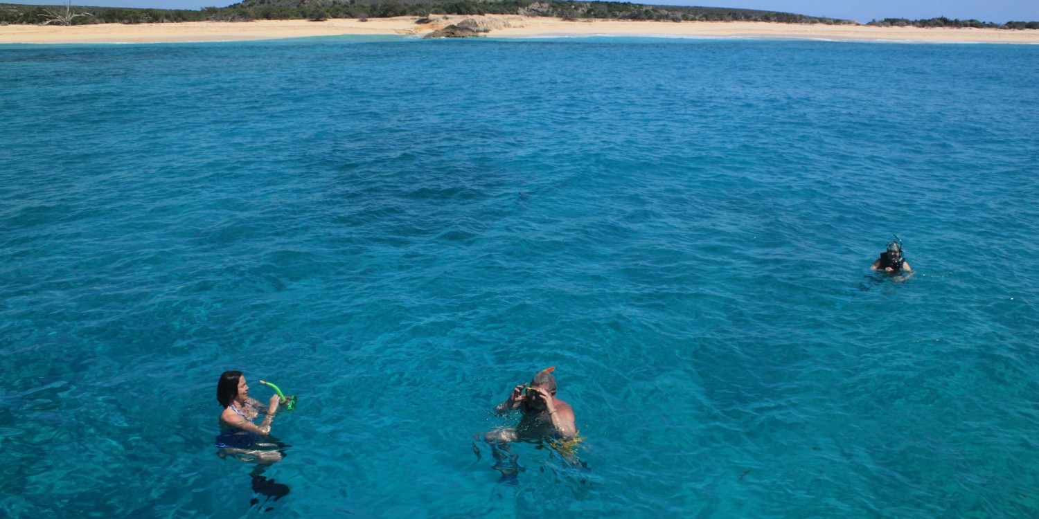 Snorkeling from Pacific Wave Snorkeling from Pacific Wave