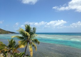 Cam Bay BVI National Park