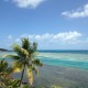 Cam Bay BVI National Park