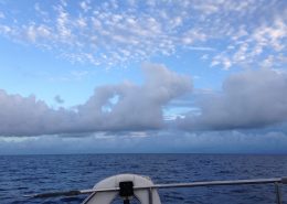 Sailing in the Grenadines on Pacific Wave