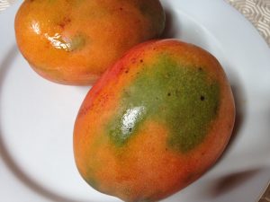 The best mangoes in the Caribbean found on Dominica