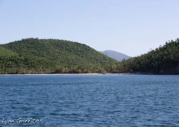 Francis Bay St John 100 days after Hurricane Irma